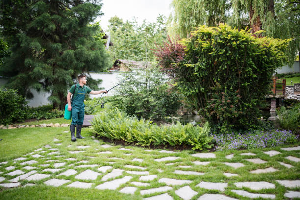 Best Wildlife Control Services  in Inniswold, LA