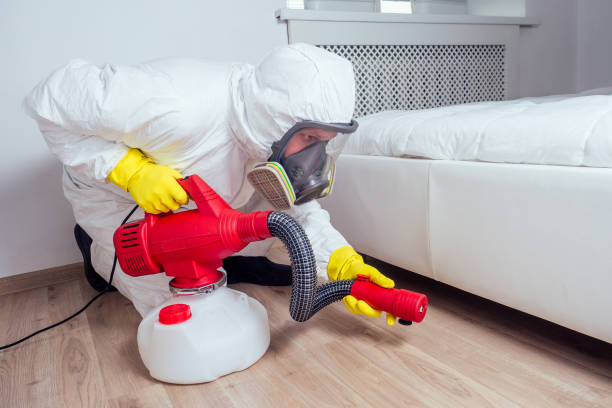 Best Emergency Pest Control  in Inniswold, LA