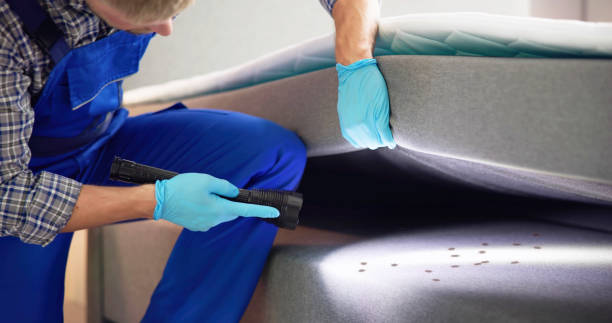 Best Cockroach Control Services  in Inniswold, LA