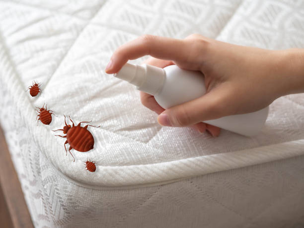  Inniswold, LA Pest Control Pros